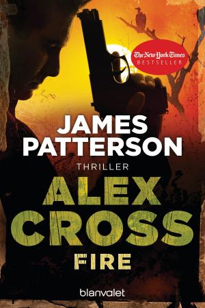 Cover of Fire - Alex Cross 14 -