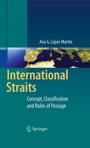 Cover of the book International Straits by Franz Schmitt, Michael K. Stehling, Robert Turner