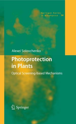 Cover of the book Photoprotection in Plants by Martina Staudhammer