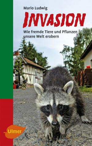 Cover of the book Invasion by Uwe Görisch, Markus Helm