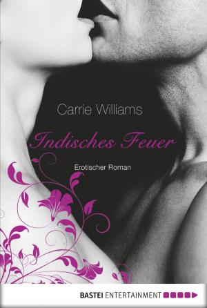 Cover of the book Indisches Feuer by Yvonne Lanot