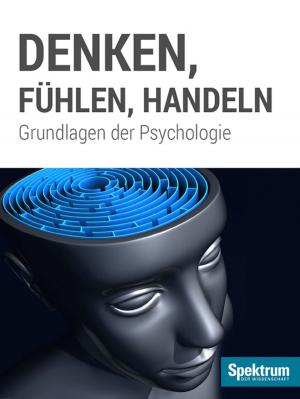 Cover of the book Denken, Fühlen, Handeln by 