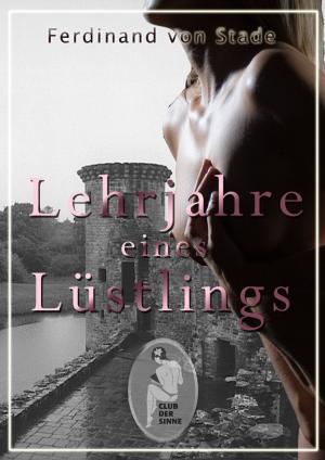 Cover of the book Lehrjahre eines Lüstlings by Carola Kickers