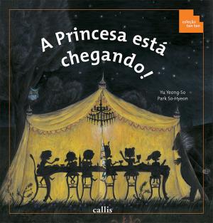 Cover of the book A Princesa está chegando! by Ann Rachlin