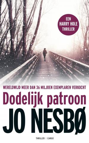 Cover of the book Dodelijk patroon by Elizabeth Gilbert
