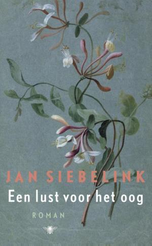 Cover of the book Een lust voor het oog by Jef Aerts