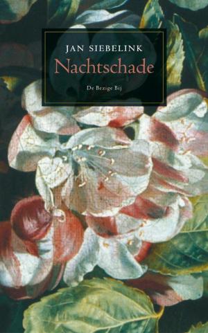 Cover of the book Nachtschade by Remco Campert