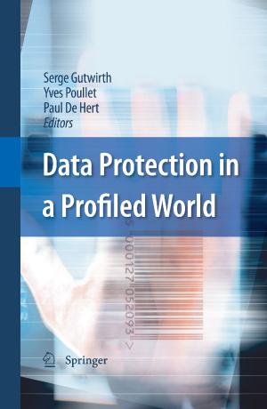 Cover of the book Data Protection in a Profiled World by Baxter E. Vieux
