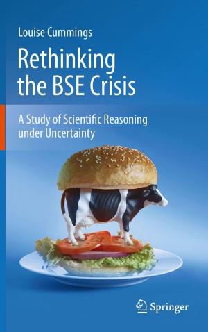 Cover of the book Rethinking the BSE Crisis by Jerry McBeath, Jenifer Huang McBeath