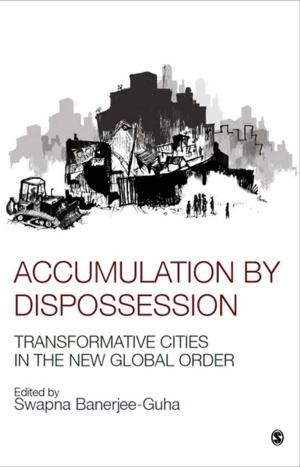 Cover of the book Accumulation by Dispossession by Emmy van Deurzen, Martin Adams