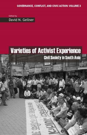 Cover of the book Varieties of Activist Experience by Paul G. Nestor, Russell K. Schutt