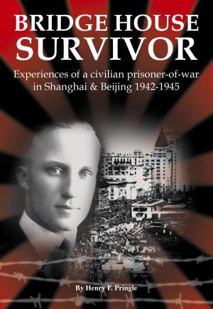 Cover of the book Bridge House Survivor by Liliane Willens