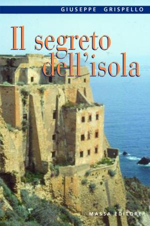 Cover of the book Il segreto dell'isola by Janis Otsiemi, Alf Mayer