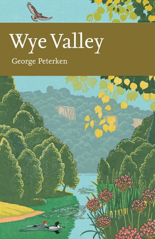 Cover of the book Wye Valley (Collins New Naturalist Library, Book 105) by George Peterken, HarperCollins Publishers