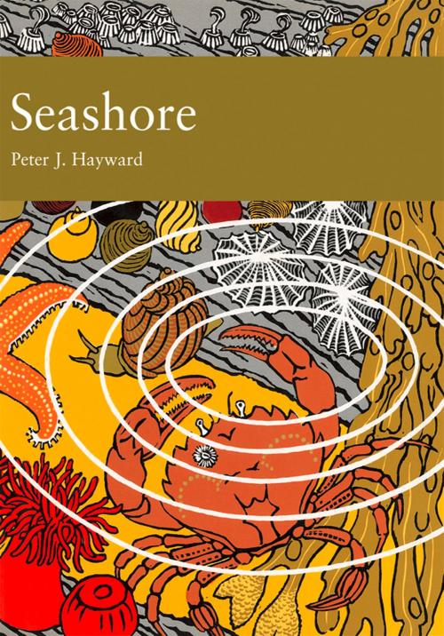 Cover of the book Seashore (Collins New Naturalist Library, Book 94) by Peter J. Hayward, HarperCollins Publishers