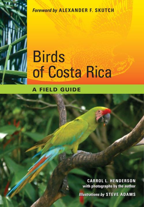 Cover of the book Birds of Costa Rica by Carrol L. Henderson, University of Texas Press