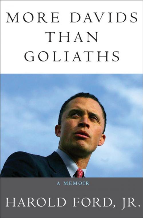 Cover of the book More Davids Than Goliaths by Harold Ford, Jr., Crown/Archetype