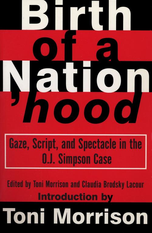 Cover of the book Birth of a Nation'hood by Toni Morrison, Knopf Doubleday Publishing Group