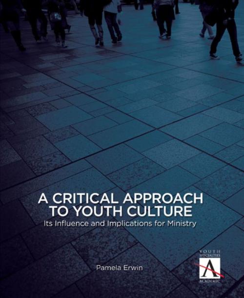 Cover of the book A Critical Approach to Youth Culture by Pamela J. Erwin, Zondervan