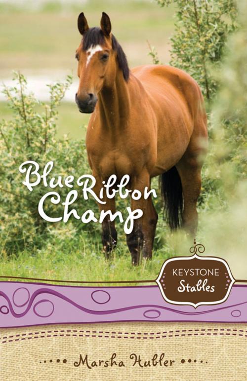 Cover of the book Blue Ribbon Champ by Marsha Hubler, Zonderkidz