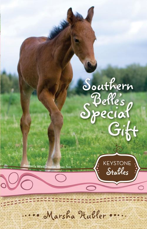 Cover of the book Southern Belle's Special Gift by Marsha Hubler, Zonderkidz