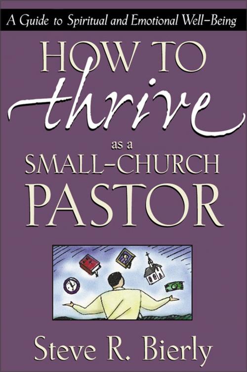 Cover of the book How to Thrive as a Small-Church Pastor by Steve R. Bierly, Zondervan