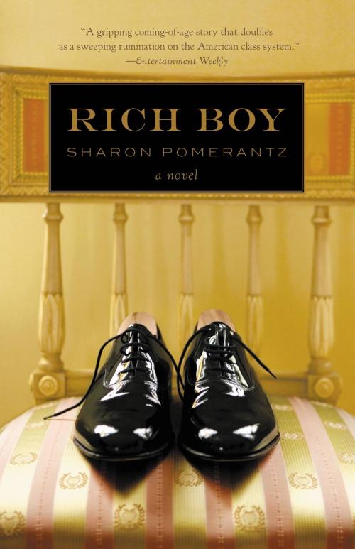 Cover of the book Rich Boy by Sharon Pomerantz, Grand Central Publishing