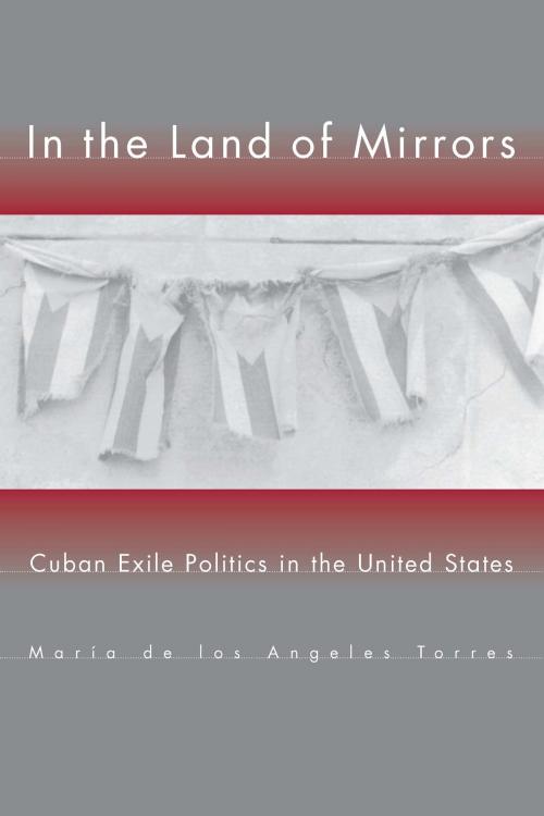 Cover of the book In the Land of Mirrors by Maria de los Angeles Torres, University of Michigan Press
