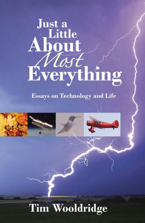 Cover of the book Just A Little About Most Everything: Essays On Technology And Life by Tim Wooldridge, Infinity Publishing