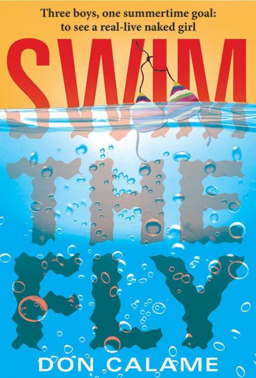 Cover of the book Swim the Fly by Don Calame, Candlewick Press