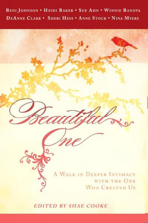 Cover of the book Beautiful One: A Walk In Deeper Intimacy with the One Who Created Us by Beni Johnson, Sue Ahn, Ann Stock, DeAnne Clark, Heidi Baker, Sheri Hess, Winnie Banov, Nina Myers, Destiny Image, Inc.