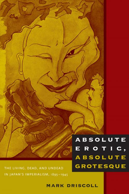 Cover of the book Absolute Erotic, Absolute Grotesque by Mark Driscoll, Duke University Press