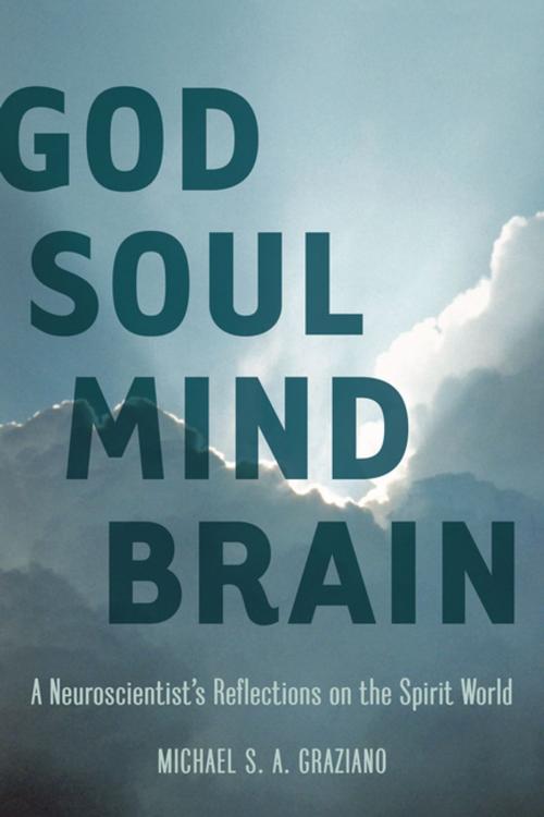 Cover of the book God Soul Mind Brain by Michael S. A. Graziano, Leapfrog Press