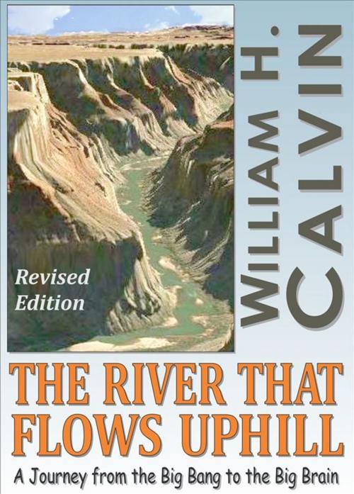 Cover of the book The River That Flows Uphill (Revised Edition) by William H. Calvin, WilliamCalvin.org