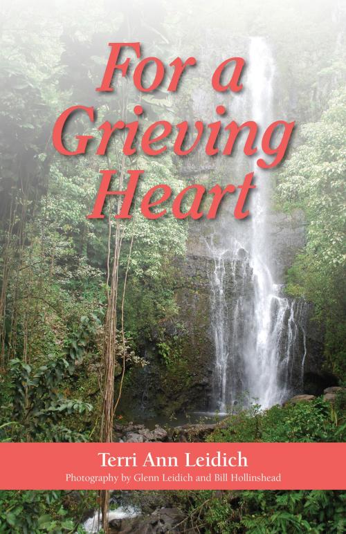 Cover of the book For a Grieving Heart by Terri Ann Leidich, WriteLife Publishing