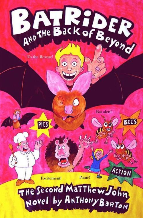 Cover of the book Bat Rider and the Back of Beyond by Anthony Barton, Anthony Barton