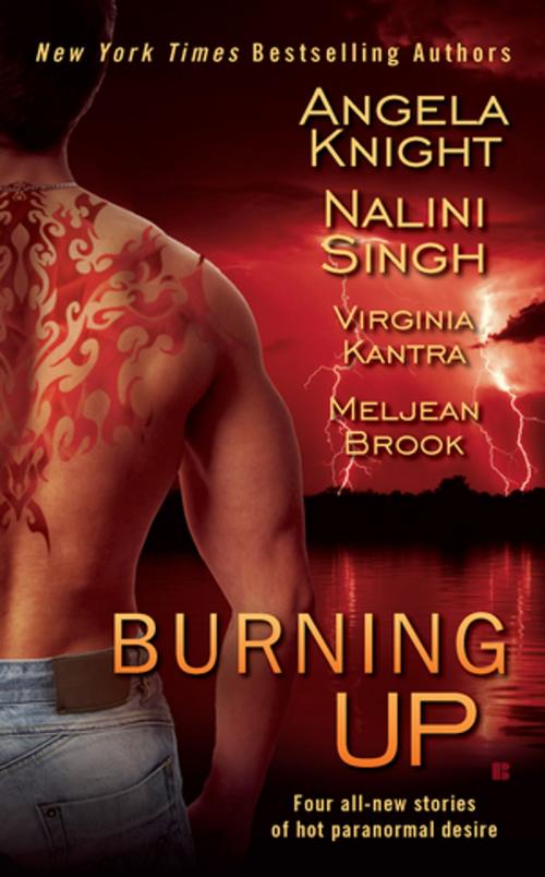 Cover of the book Burning Up by Angela Knight, Nalini Singh, Virginia Kantra, Meljean Brook, Penguin Publishing Group