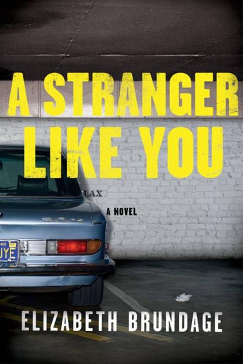 Cover of the book A Stranger Like You by Elizabeth Brundage, Penguin Publishing Group