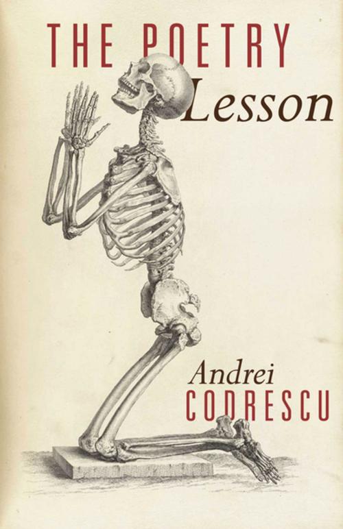 Cover of the book The Poetry Lesson by Andrei Codrescu, Princeton University Press