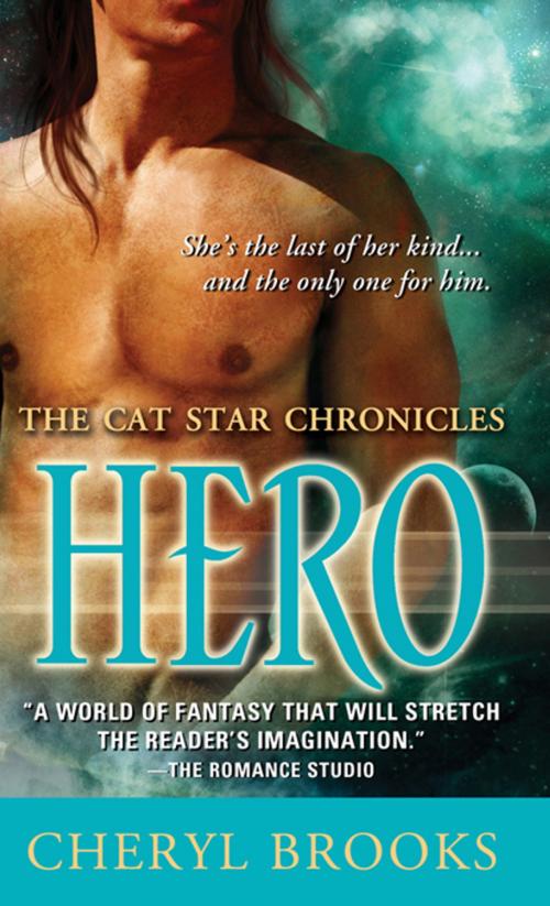 Cover of the book Hero by Cheryl Brooks, Sourcebooks