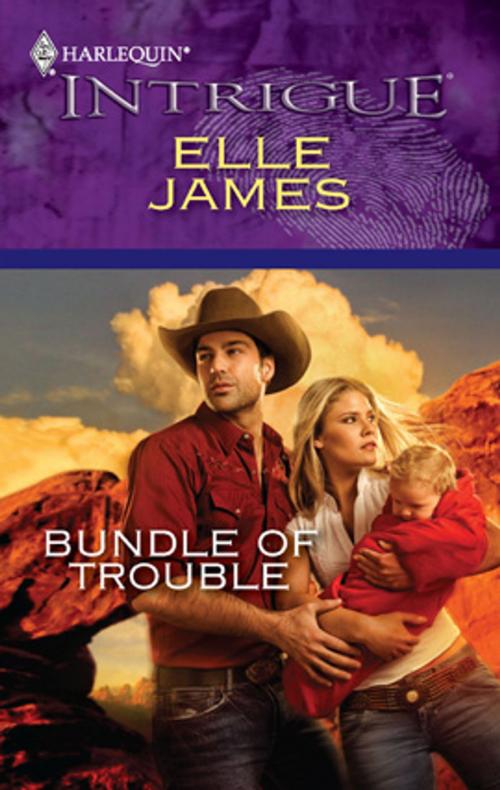 Cover of the book Bundle of Trouble by Elle James, Harlequin