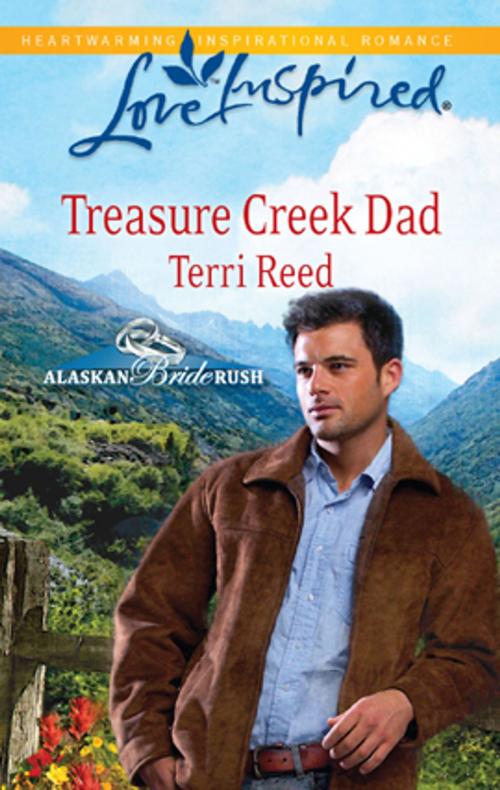 Cover of the book Treasure Creek Dad by Terri Reed, Steeple Hill