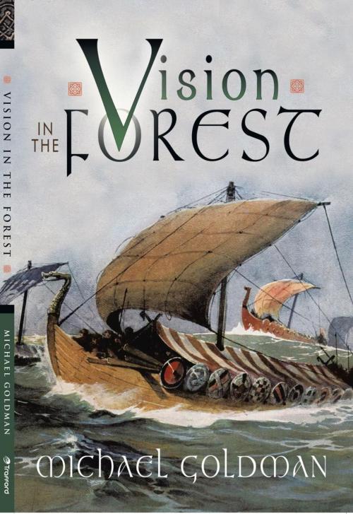 Cover of the book Vision in the Forest by Michael Goldman, Trafford Publishing