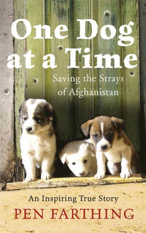 Cover of the book One Dog at a Time by Pen Farthing, St. Martin's Press