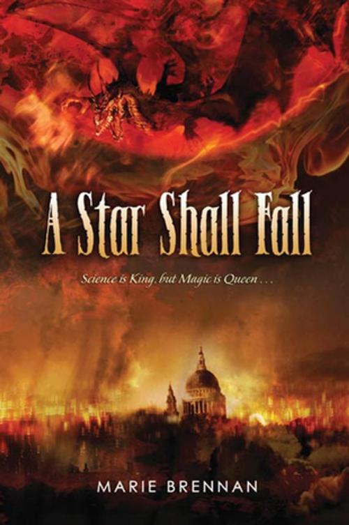 Cover of the book A Star Shall Fall by Marie Brennan, Tom Doherty Associates