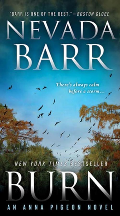 Cover of the book Burn by Nevada Barr, St. Martin's Press