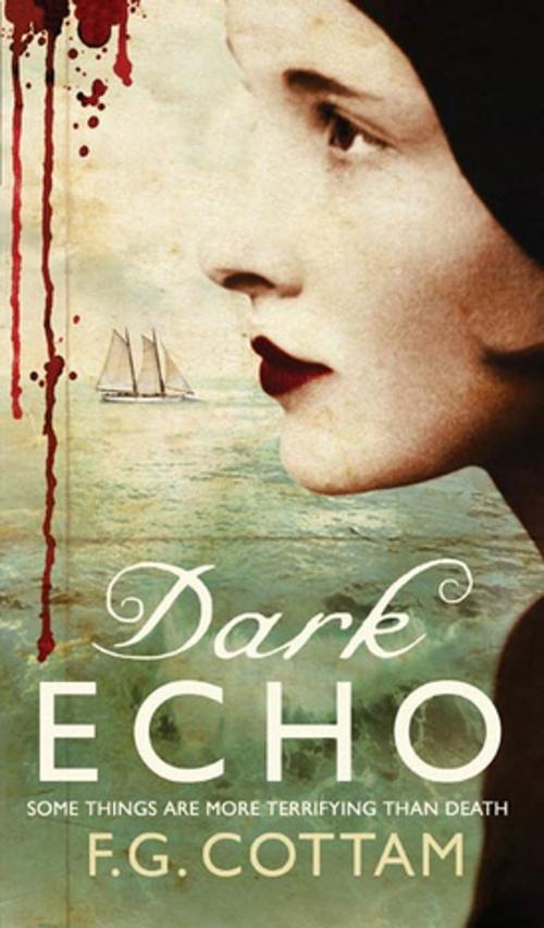 Cover of the book Dark Echo by F. G. Cottam, St. Martin's Press