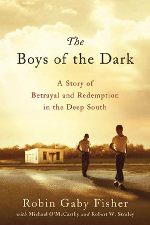 Cover of the book The Boys of the Dark by Robin Gaby Fisher, Michael O'McCarthy, Robert W. Straley, St. Martin's Press