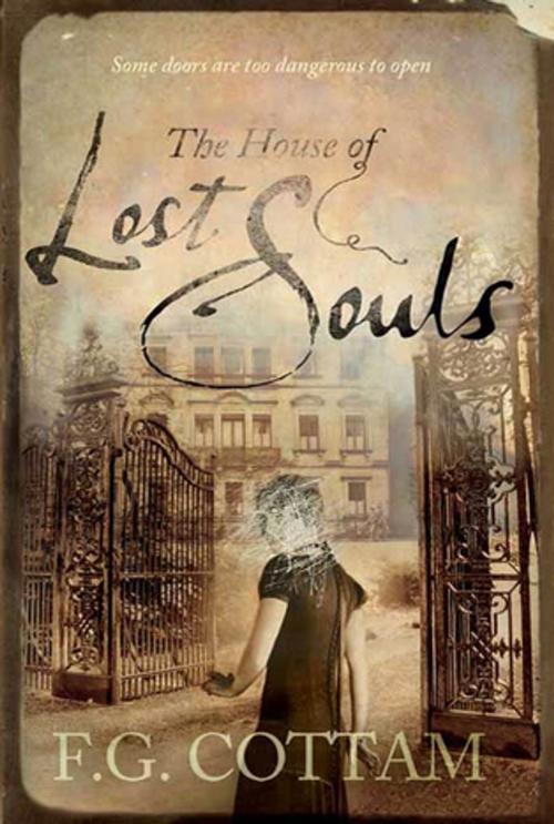 Cover of the book The House of Lost Souls by F. G. Cottam, St. Martin's Press