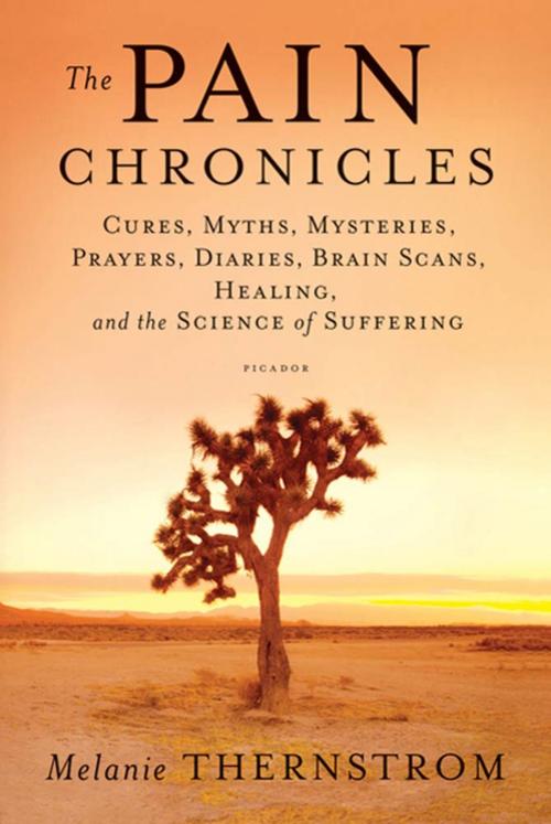 Cover of the book The Pain Chronicles by Melanie Thernstrom, Farrar, Straus and Giroux